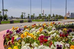 В Сочи ведётся активная подготовка к саммиту Россия – Африка В Сочи ведётся активная подготовка к саммиту Россия – Африка - Фото