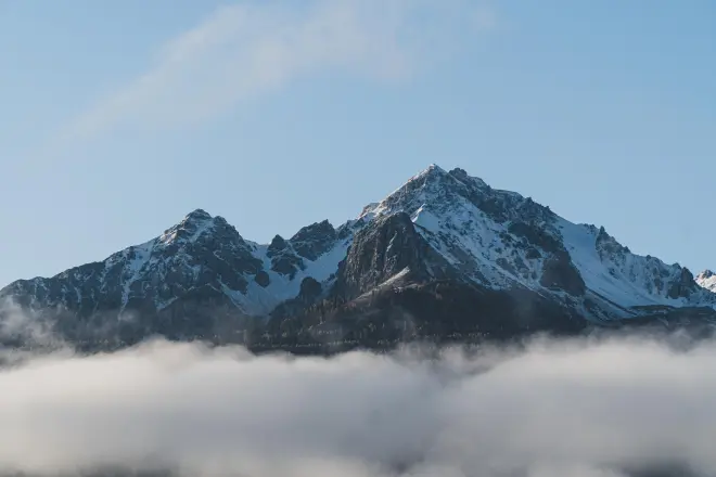 https://ru.freepik.com/