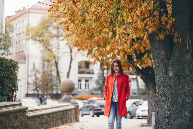https://ru.freepik.com/
