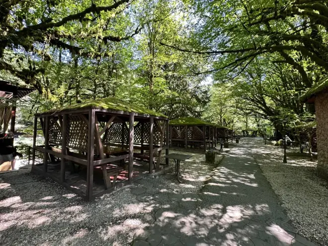 Сочи — не просто курорт, а генератор идей и событий мирового уровня