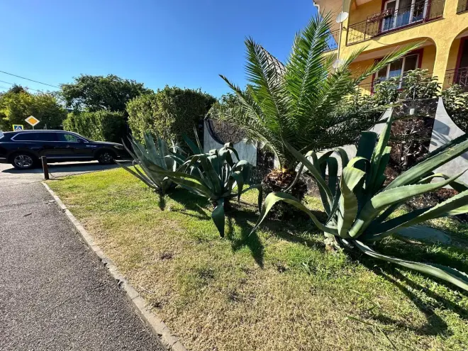 Сочи — не просто курорт, а генератор идей и событий мирового уровня