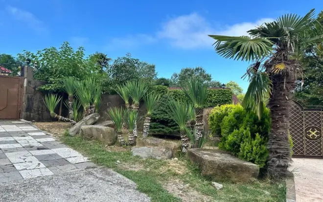 Сочи превращается в зелёный курорт: за год высадили 5 тысяч растений и увеличили количество пальм в шесть раз