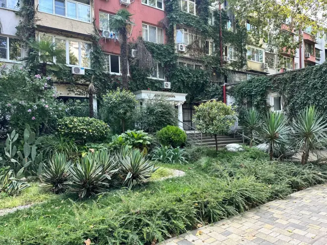 Сочи — не просто курорт, а генератор идей и событий мирового уровня