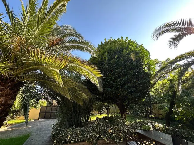 Сочи — не просто курорт, а генератор идей и событий мирового уровня