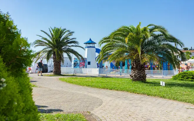 https://grc-sochi.ru