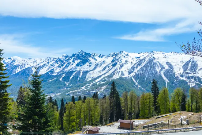 https://grc-sochi.ru/