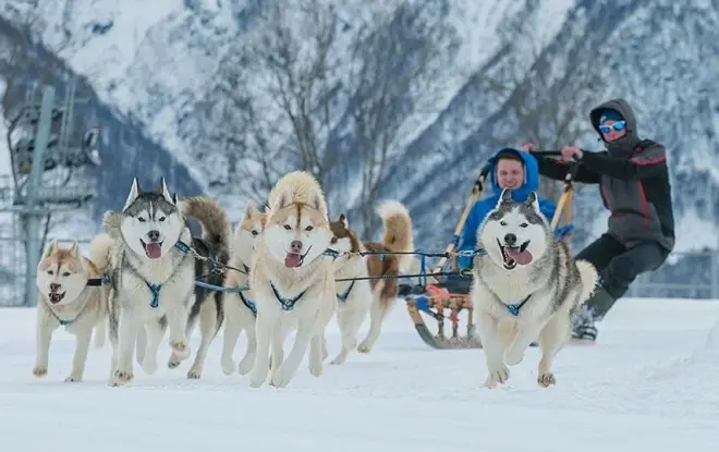 Красная Поляна - зеленая долина среди гор, с развитой инфраструктурой и 4 горнолыжными курортами европейского уровня #1