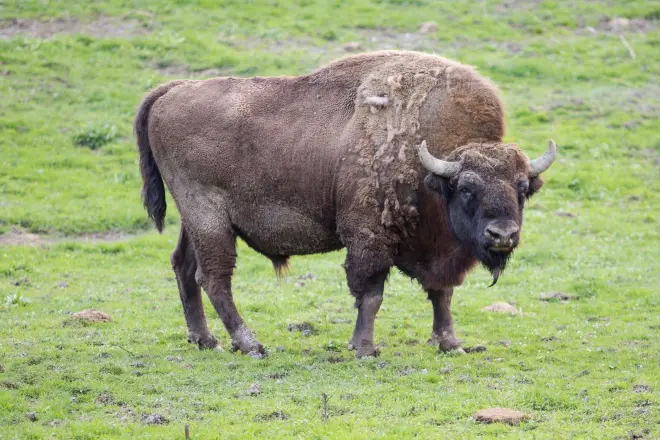 ТОП-5 интересных мест Красной Поляны, которые легко посетить #3