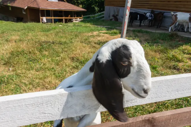 Мечта интроверта - где в Сочи побыть наедине с природой #2