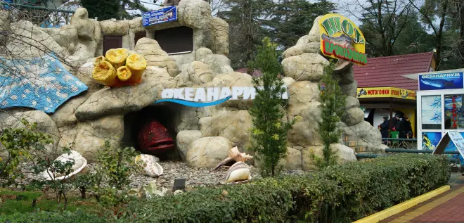 Куда сходить зимой в Сочи? #4