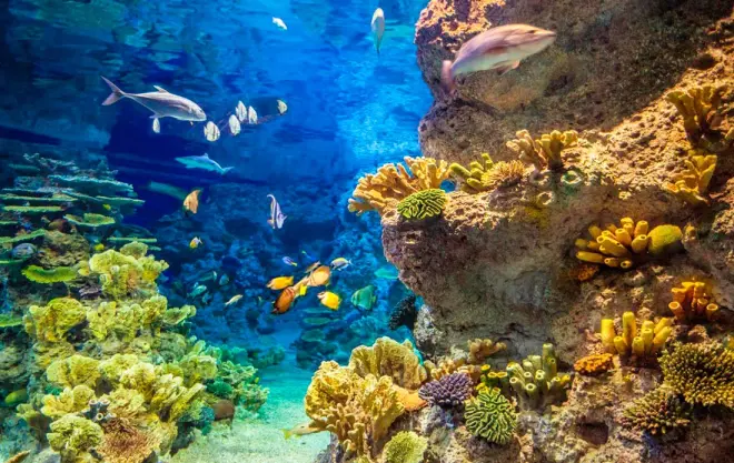 Адлер - идеальный район для отдыха и комфортной жизни #2