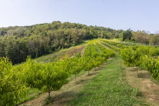Мечта интроверта - где в Сочи побыть наедине с природой #4