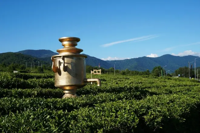 Мацеста - здравница курорта в зеленой долине между горами и морем #1