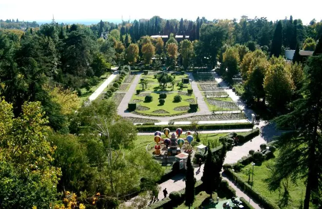 Куда сходить зимой в Сочи? #1