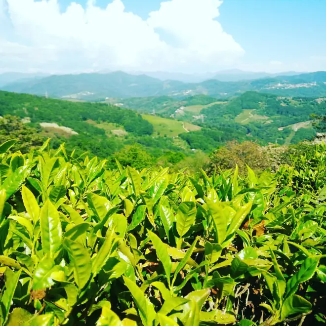 ЖК “Кислород” - новый уровень жизни и возможность дышать полной грудью #1