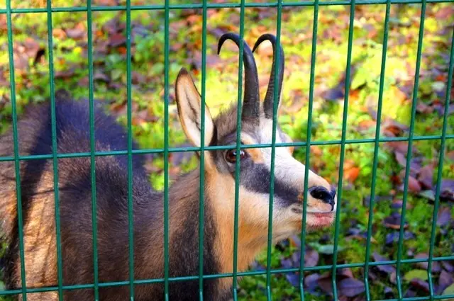 ТОП-5 интересных мест Красной Поляны, которые легко посетить #2