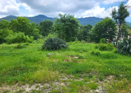 Земельный участок, 6 соток - фото 1