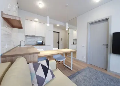 1-комнатная квартира, 30 м² - фото 1