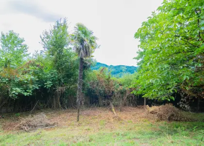 Участок с потрясающими видами - фото 1