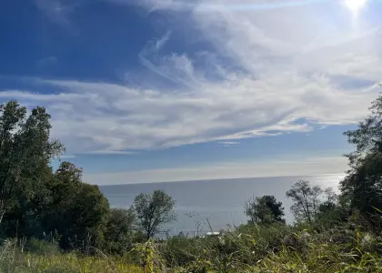 Земельный участок, 25.1 соток - фото 1