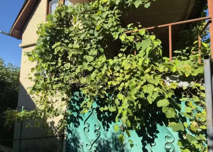 Земельный участок, 5.5 соток - фото 1