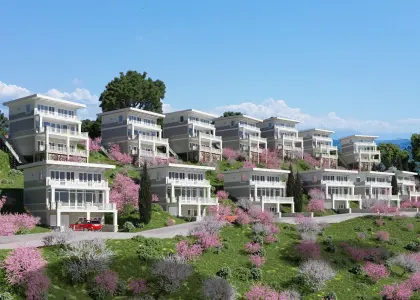 КП Чайное дерево - фото 1