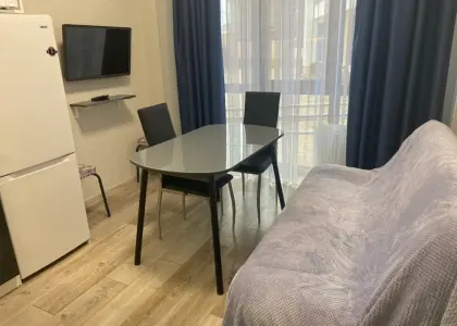 1-комнатная квартира, 33.8 м² - фото 1