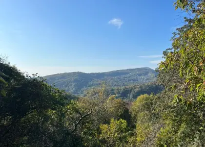 Земельный участок, 5.4 соток - фото 1