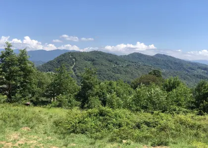 Земельный участок, 13 соток - фото 1