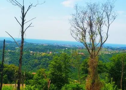 Земельный участок, 12 соток - фото 1