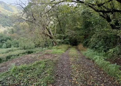 Земельный участок, 4.2 сотки - фото 1