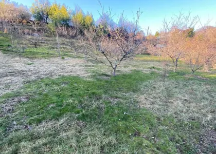 Земельный участок, 7 соток - фото 1