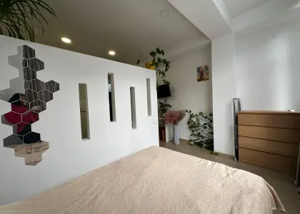 Студия, 29.3 м² - фото 1