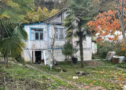 Дача, 48 м² - фото 1