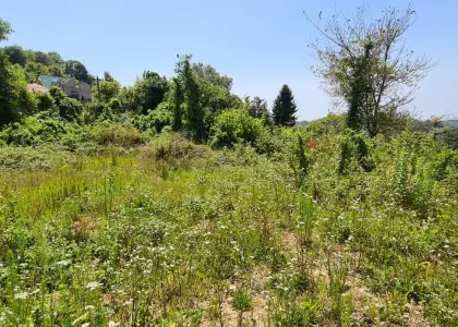 Земельный участок, 17 соток - фото 1