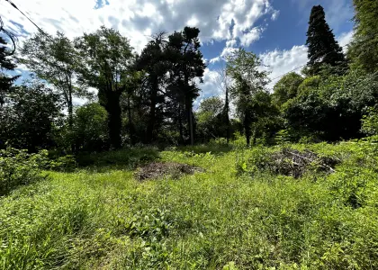 16 соток в Уч-Дере - фото 1