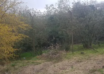 Земельный участок, 10 соток - фото 1