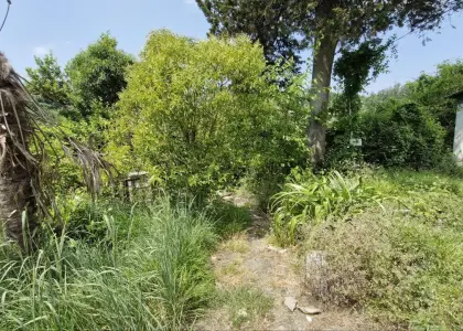 Земельный участок, 3.88 сотки - фото 1