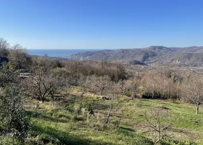 Земельный участок, 21 сотка - фото 1