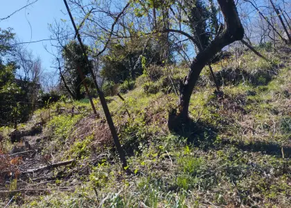 участок с коммуникациями в Хостинском районе - фото 1