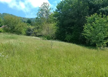 Земельный участок, 26 соток - фото 1