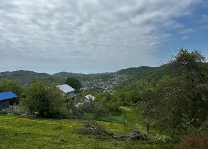 Земельный участок, 40 соток - фото 1