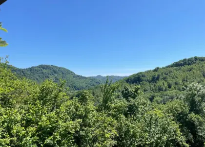 Земельный участок, 7.7 соток - фото 1