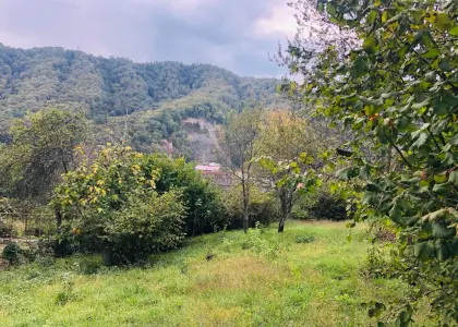 Земельный участок, 4 сотки - фото 1