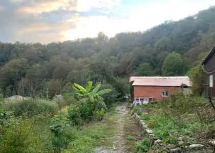 Земельный участок, 31 сотка - фото 1