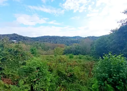 Земельный участок, 32 сотки - фото 1