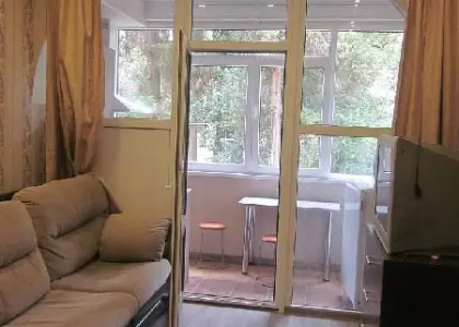 1-комнатная квартира, 23 м² - фото 1