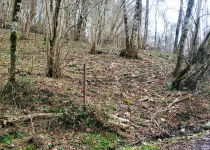 Земельный участок, 5.8 соток - фото 1