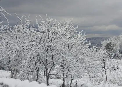 Земельный участок, 7.9 соток - фото 1