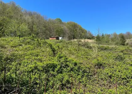 Земельный участок, 460 соток - фото 1